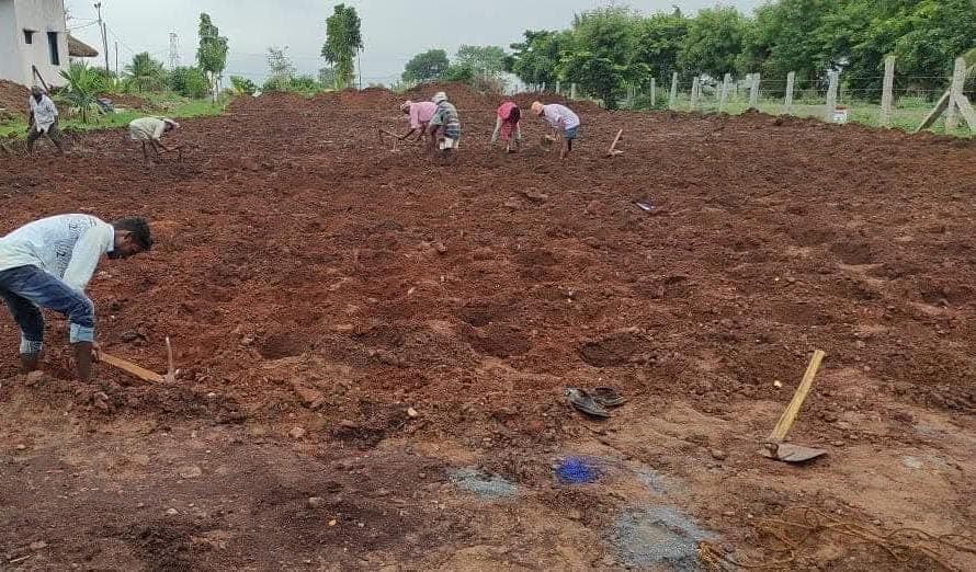 Bare land before plantation